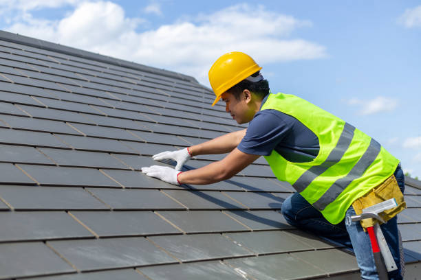 Best Solar Panel Roofing Installation  in USA